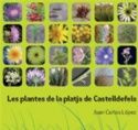 Imatge adjunta al document "Les plantes de la platja de Castelldefels" (feu clic per ampliar)