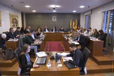 Imatge de la sessió ordinària de febrer / RAMON JOSA.