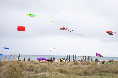 Estels volant a la platja de Castelldefels / ORIOL PAGÈS.