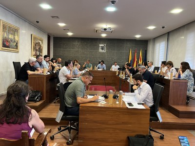 Imatge de la sessió del passat 22 de juny / REDACCIÓ.