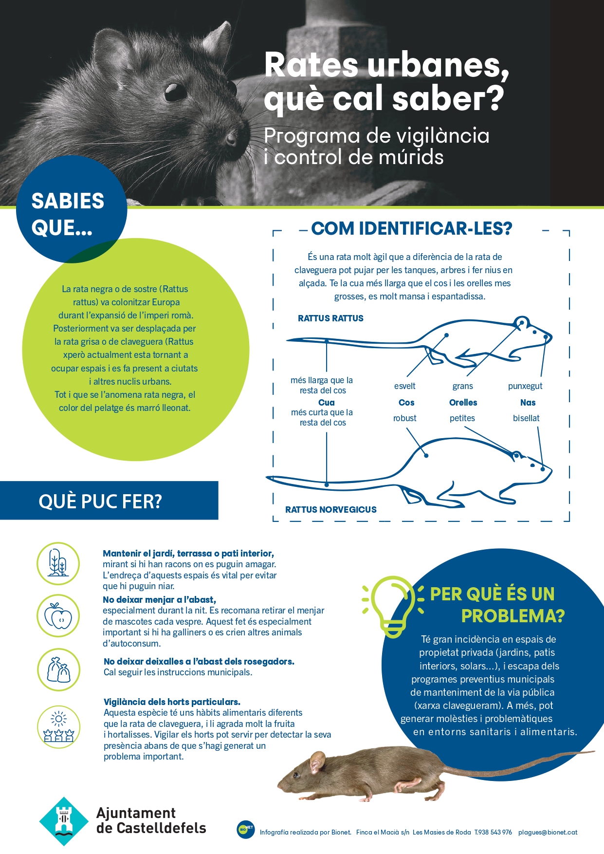 Rates urbanes - Programa de vigilància de l'Ajuntament de Castelldefels