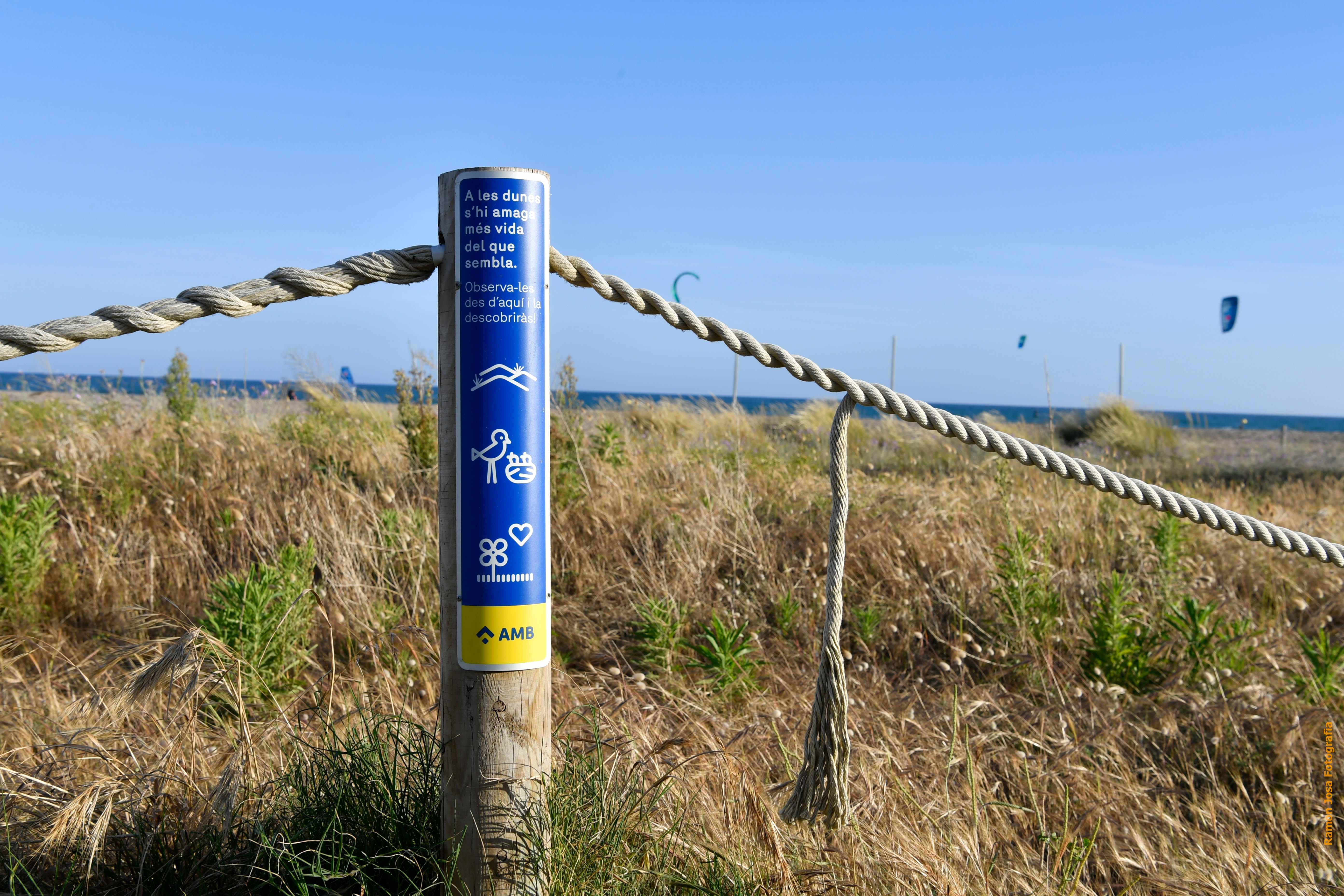 6023_2911.jpg Imatge 3