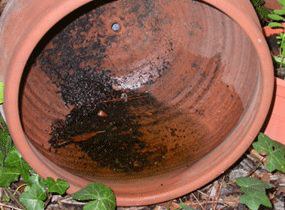 Agua acumulada.jpg Imagen