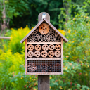 Domingo Verde en Cal Ganxo - Paseo en torno a Cal Ganxo: descubrimiento de insectos y construcción de un hotel de insectos