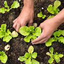 ACTIVIDAD SUSPENDIDA POR PREVISIÓN DE LLUVIA - Domingo Verde en Cal Ganxo - Taller de horticultura: hortalizas de temporada e ideas para crear tu compostador
