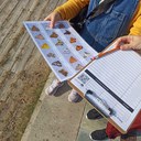 El día de las mariposas