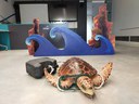 Cómo se rescata una tortuga marina