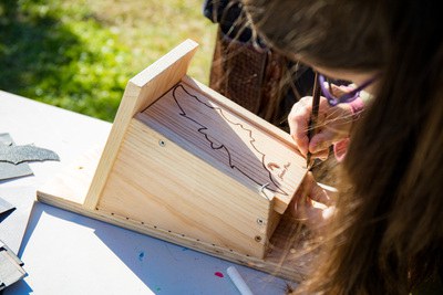 Construcción de una caja refugio para murciélagos.