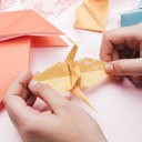 Origami vivo