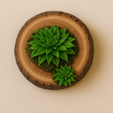 Oferta formativa Espai del Mar Invierno