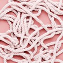 Oferta formativa Espai del Mar Invierno