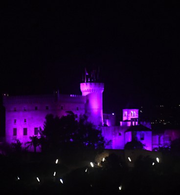 La fachada del Castillo, de color morado / RAMON JOSA.