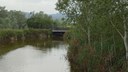 La muerte de peces en la Olla del Rei responde a causas naturales