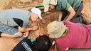 La tumba encontrada en el Castillo reescribe la historia de la antigua villa romana
