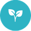 1 (50).png 1 (50).png