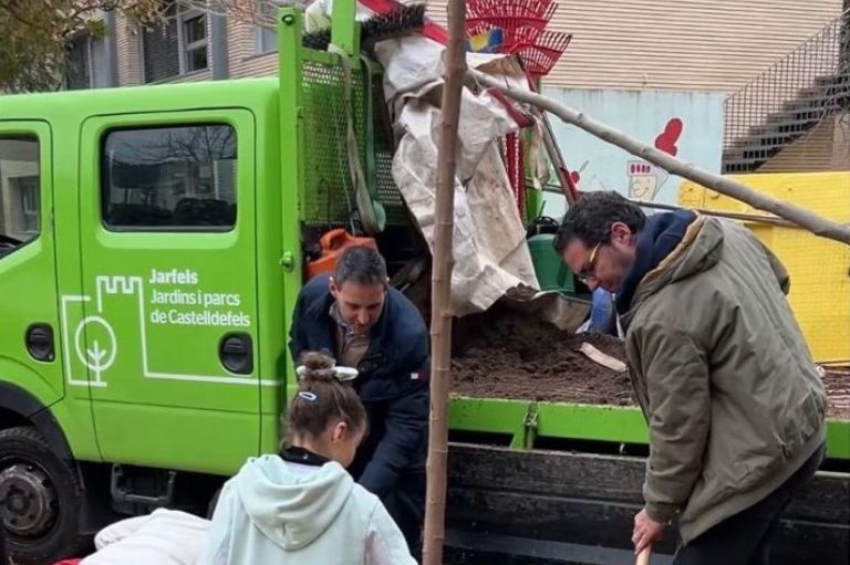 Arbres plantats Ajuntament Castelldefels.jpg