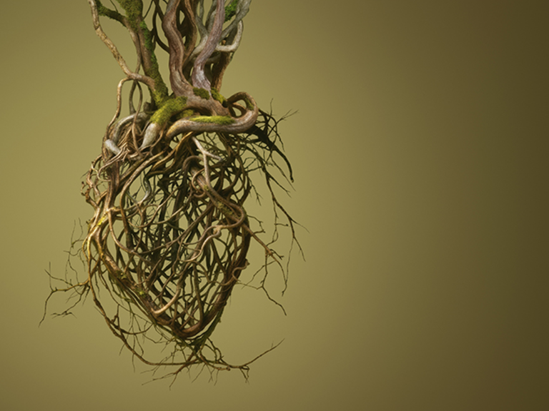 Agenda de actividades de enero